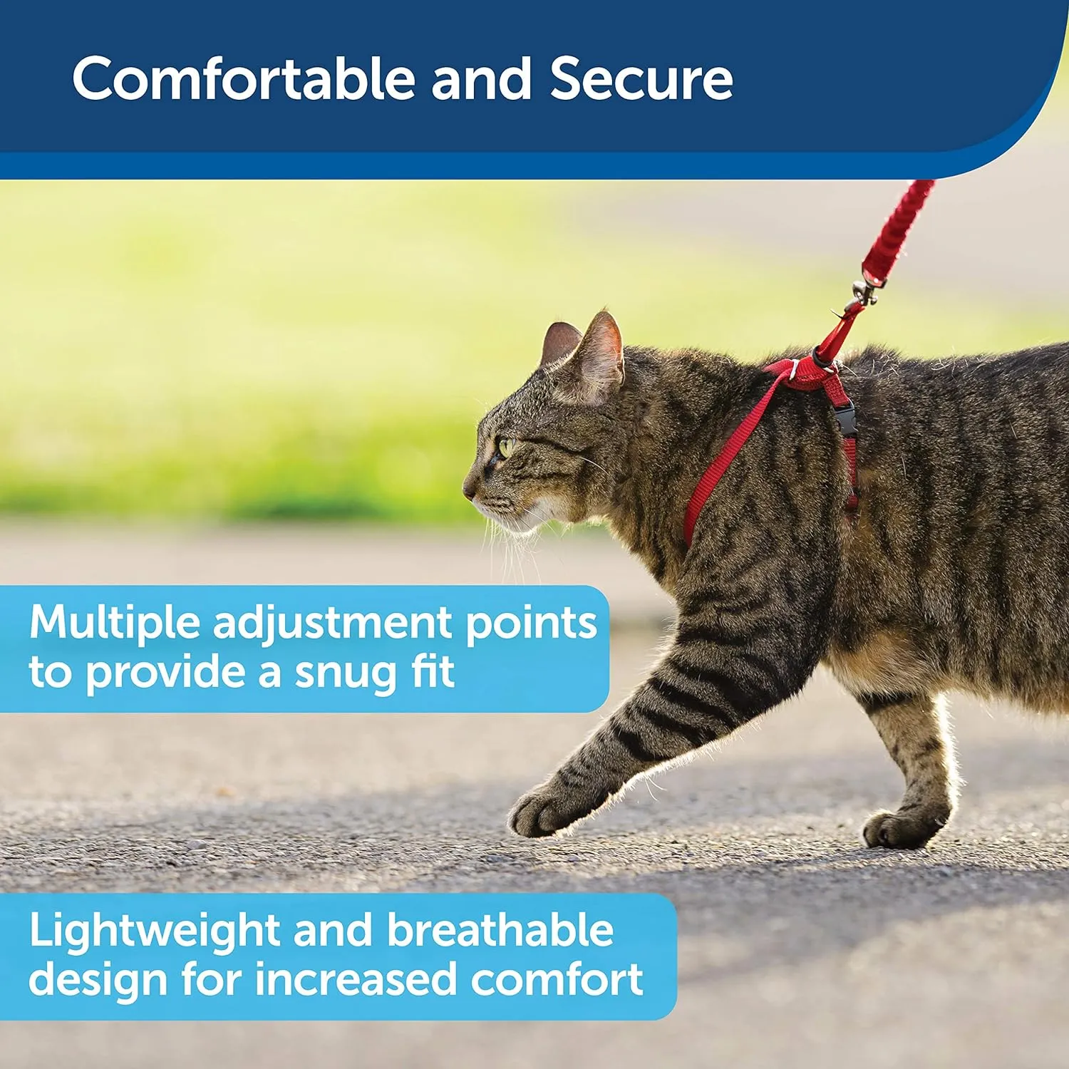 Premier Come With Me Cat Harness with Leash SALE