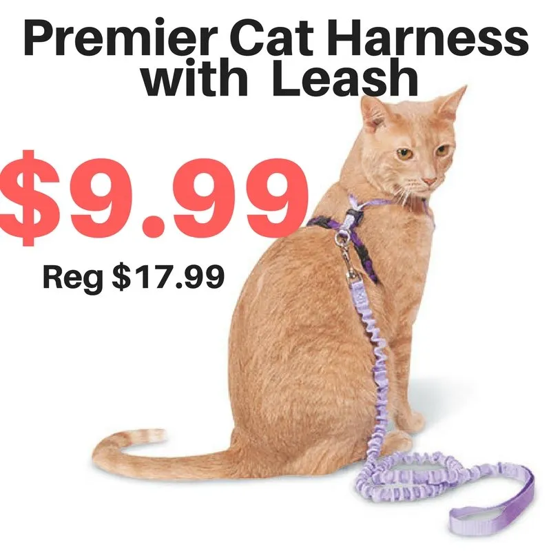 Premier Come With Me Cat Harness with Leash SALE