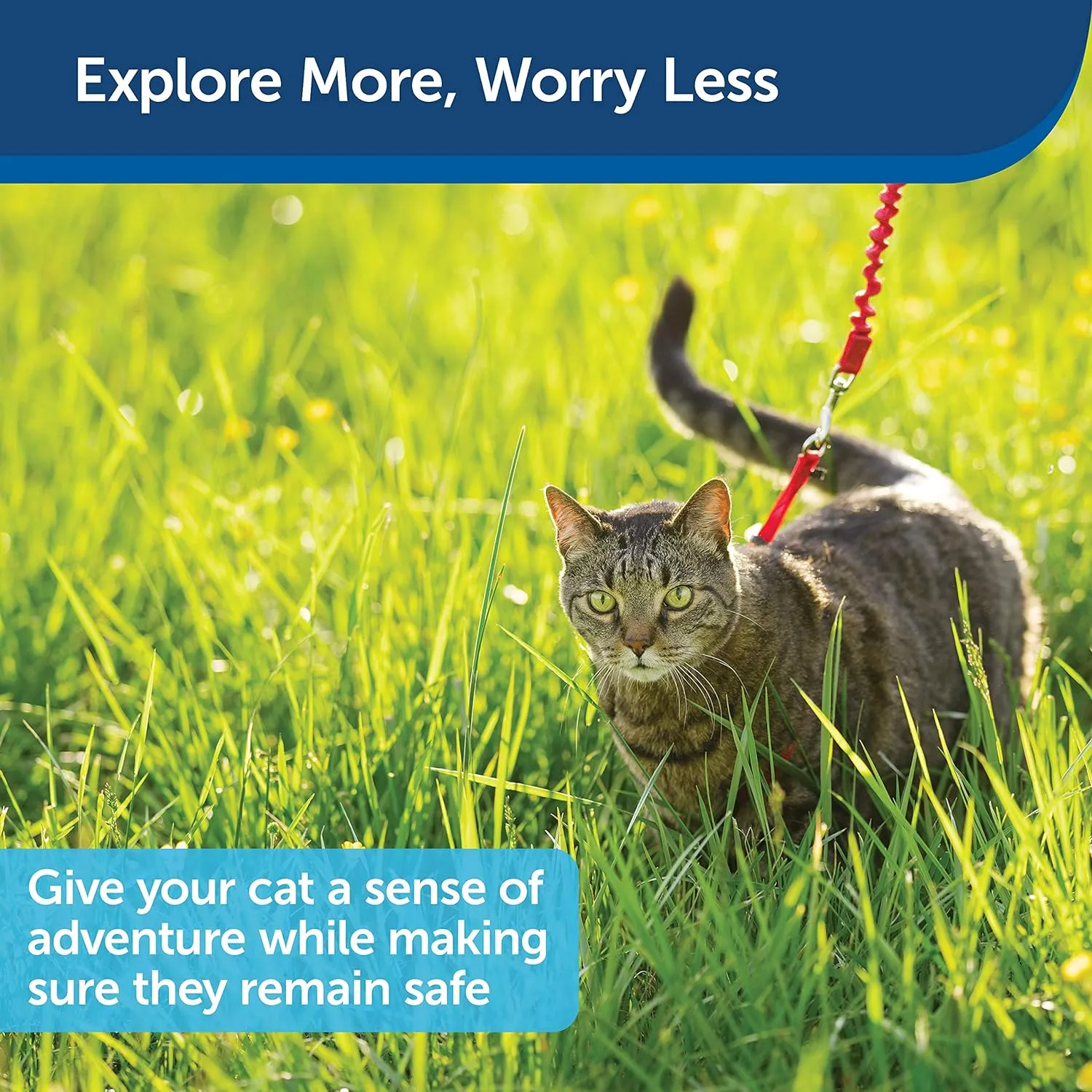 Premier Come With Me Cat Harness with Leash SALE