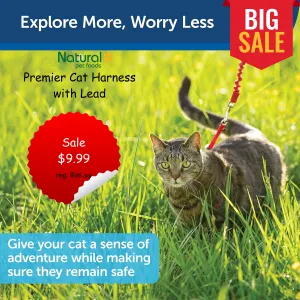 Premier Come With Me Cat Harness with Leash SALE