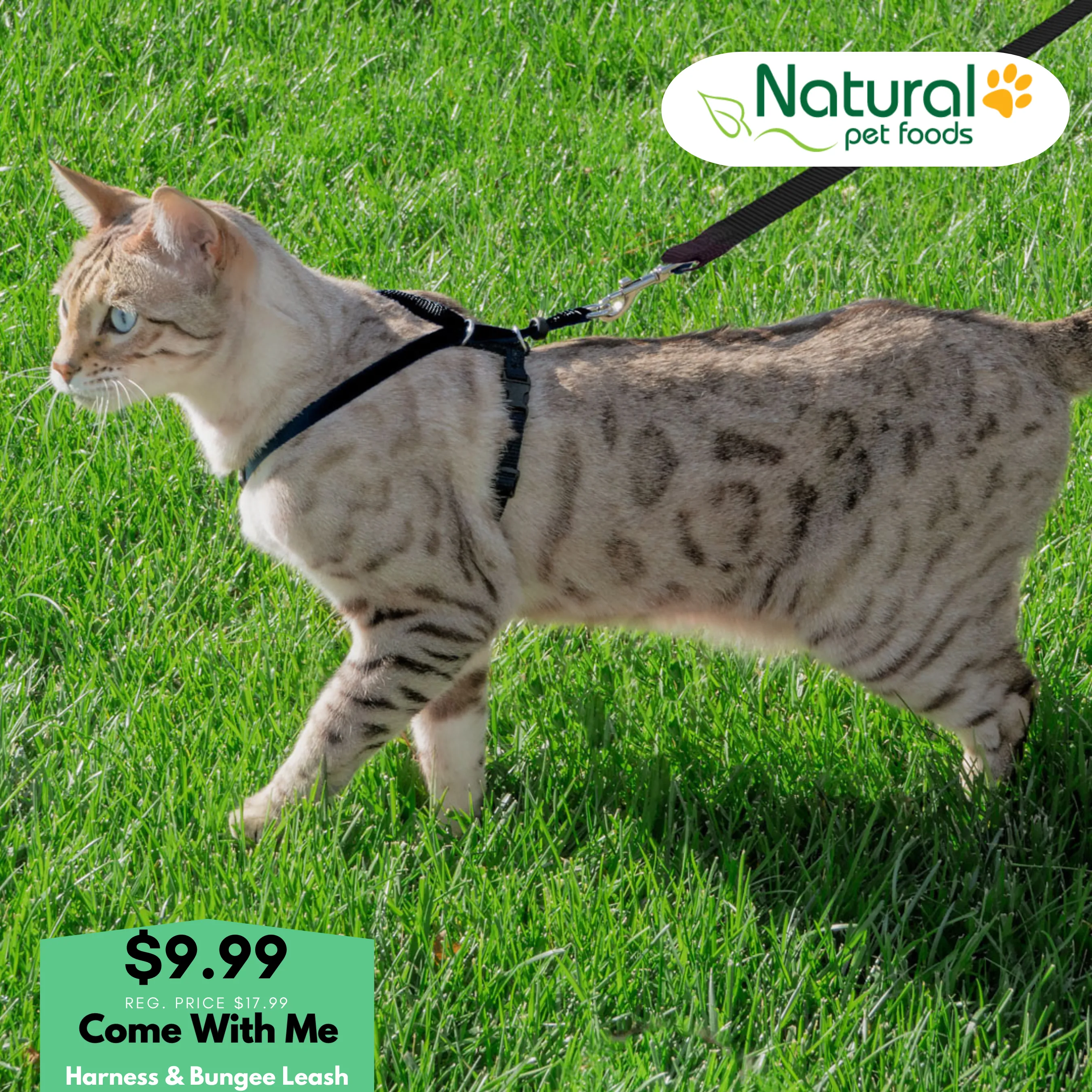 Premier Come With Me Cat Harness with Leash SALE