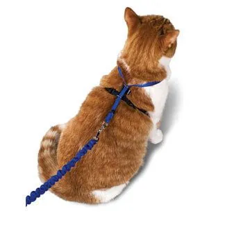 Premier Come With Me Cat Harness with Leash SALE