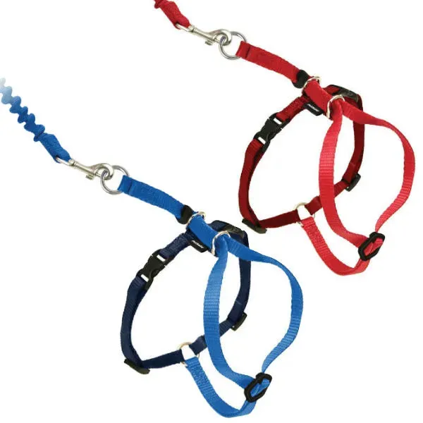 Premier Come With Me Cat Harness with Leash SALE