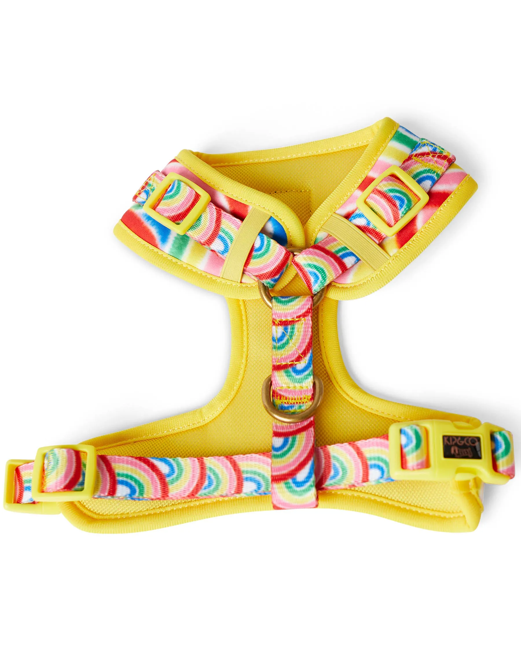 Rainbow Spray Dog Harness