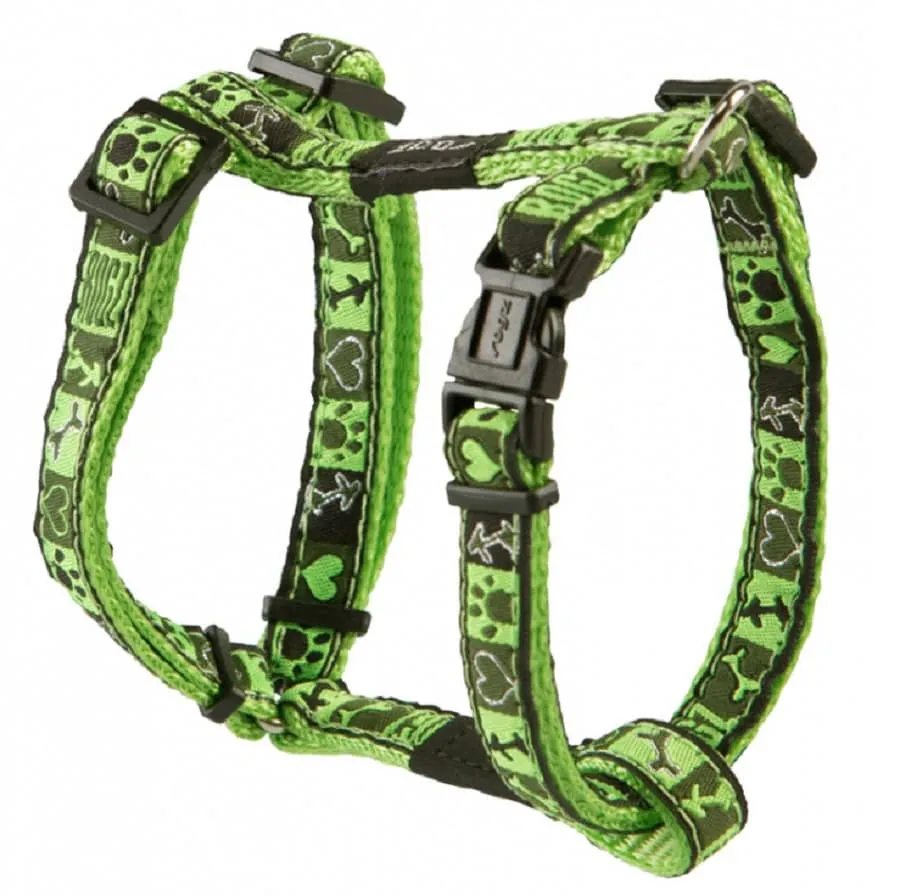 Rogz Fancy H Harness Lime Juice