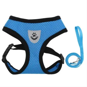 Secure Pet Harness & Leash Set
