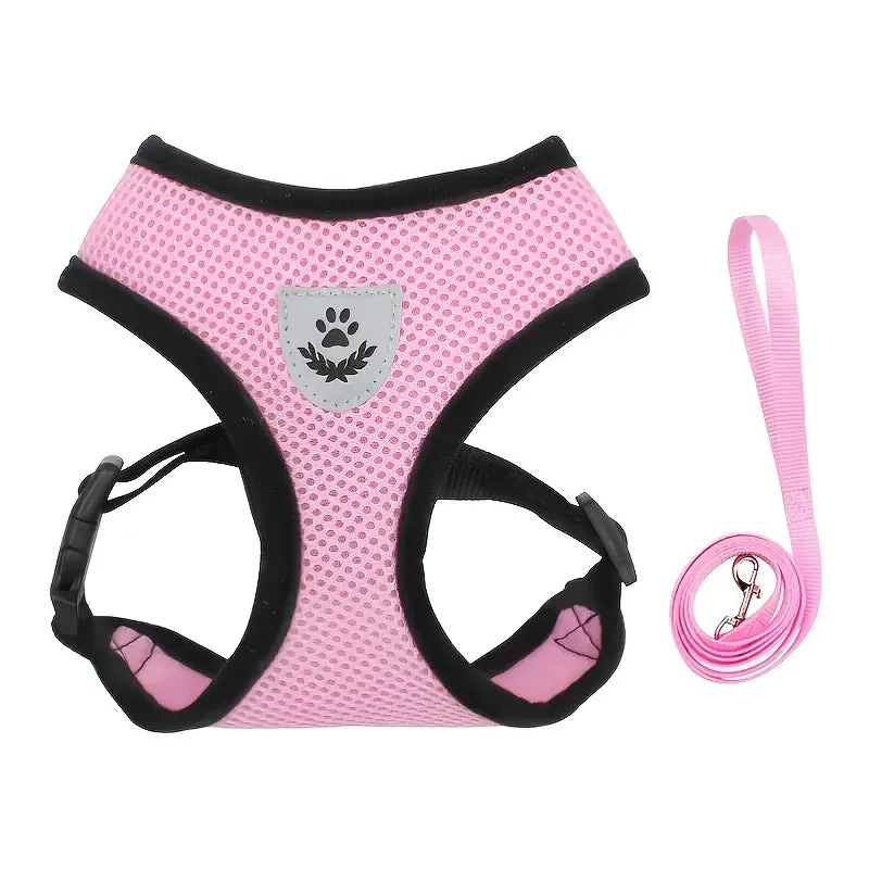 Secure Pet Harness & Leash Set