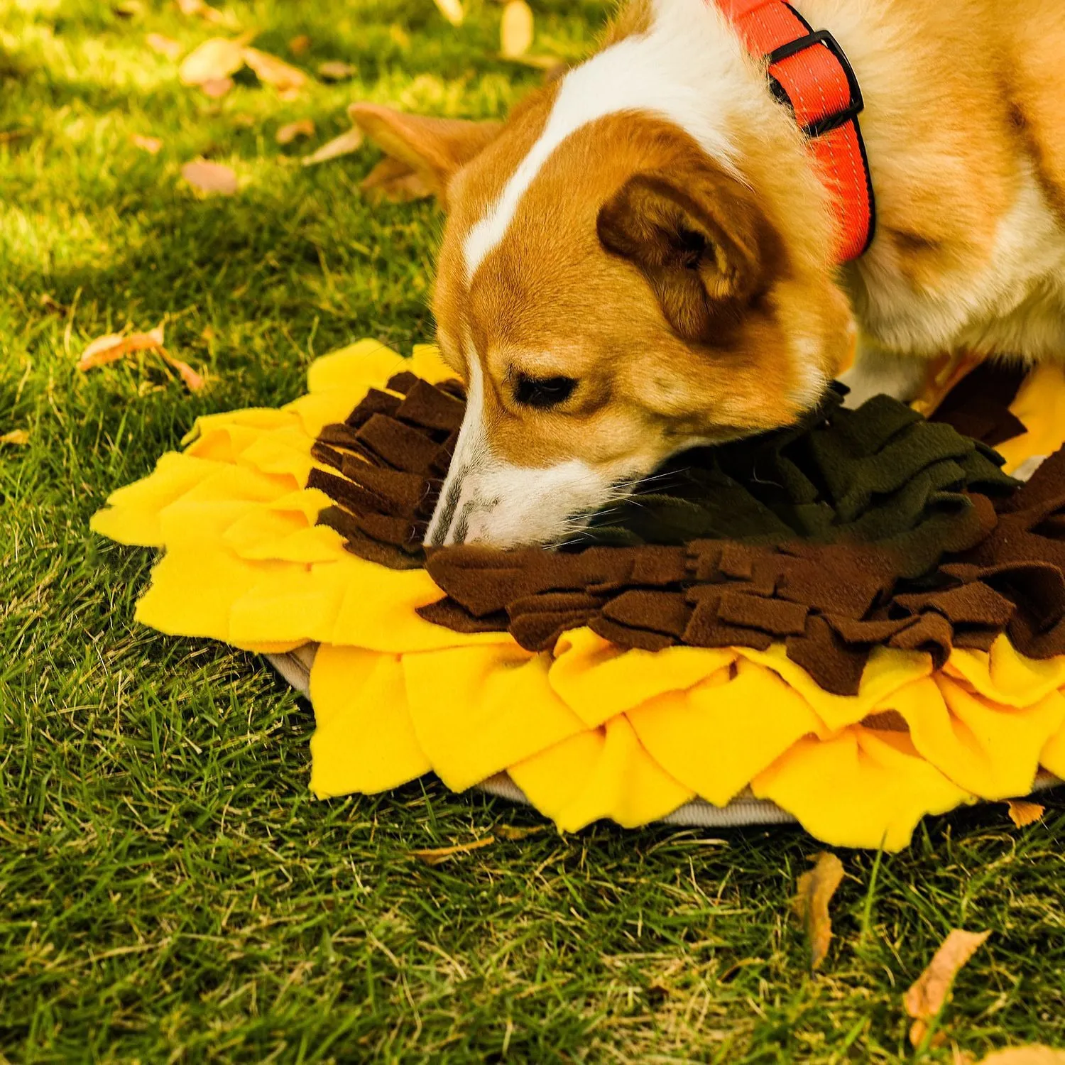 Smuffy - Sunflower Snuffle Mat