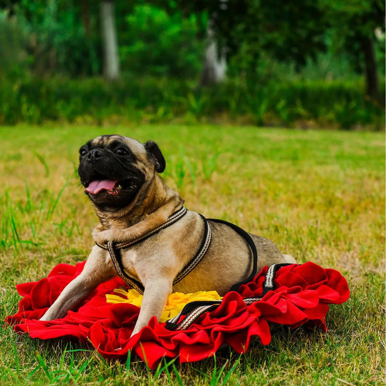Snuffy - Floral Pet Snuffle Mat
