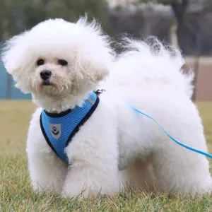 Soft Mesh Small Dog Harness for Dogs 3 - 13 pounds