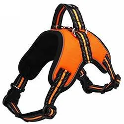 Sport Harness for Dogs