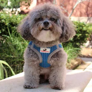 Step-In Strider Dog Harness