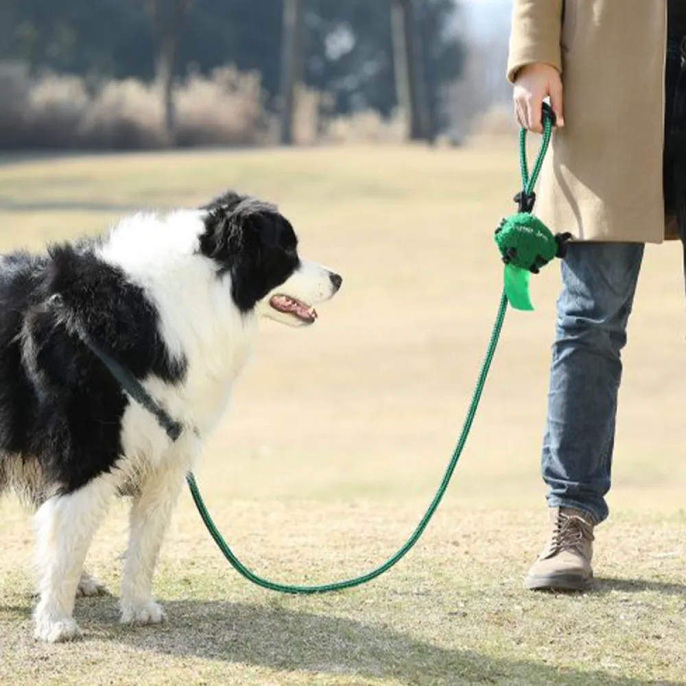 Talking Dog Club Baa Baa Black Sheep! Poop Bag Dispenser for Dogs and Cats (Green)