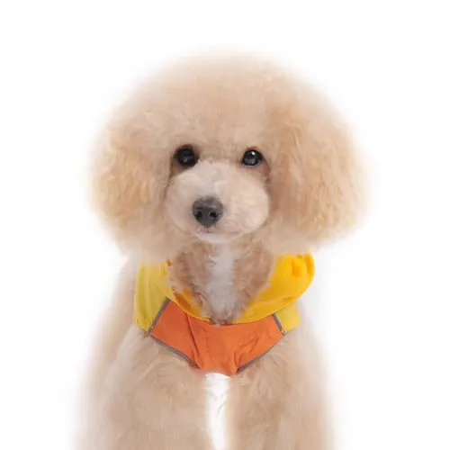 Yellow Ducky Dog Raincoat